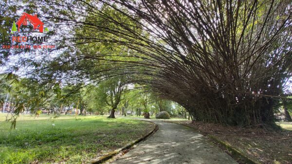 Tmn Zaaba Pic - Image 3