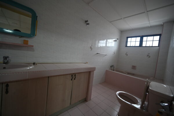 Taman U Thant, Ampang - Image 19