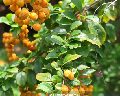 Taman Tun Dr. Ismail, Kuala Lumpur - Image 12