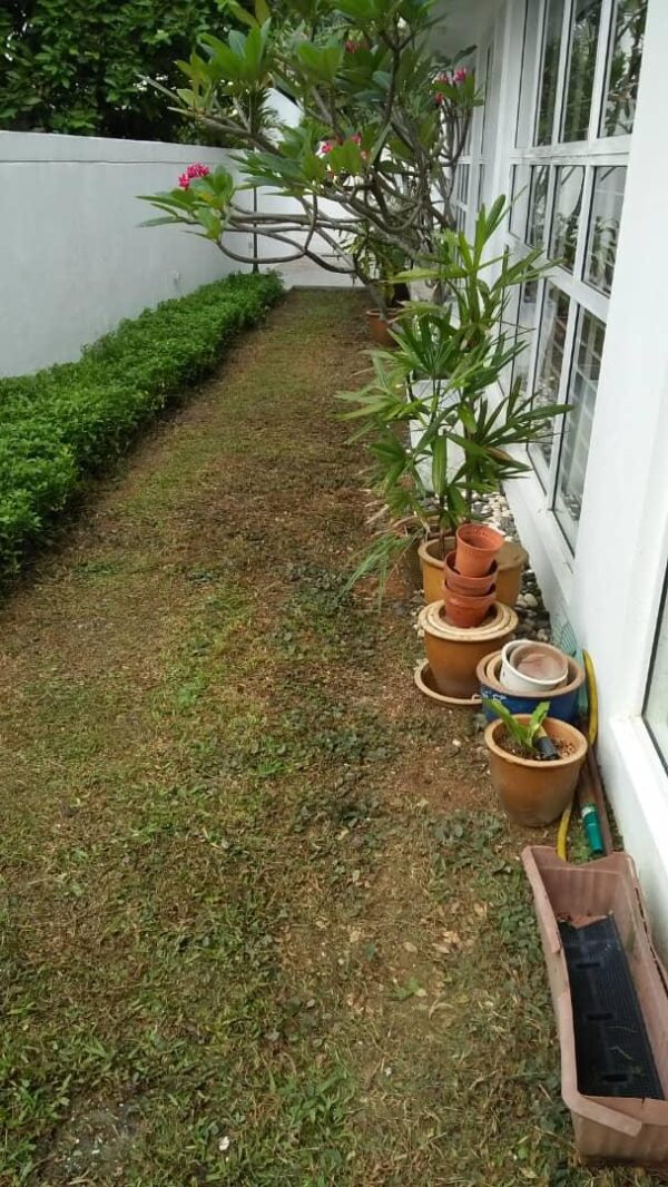 Bukit Damanasara, Damansara Height, - Image 7